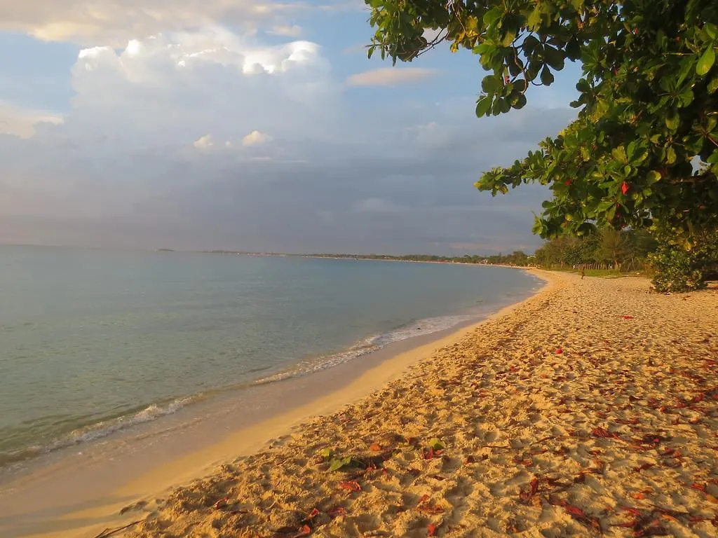 مبيت وإفطار مونتيغو باي The Retreat @ A Piece Of Paradise